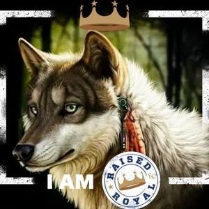 Meet your Posher, Julio